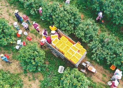 在線等,挺急的!貧困地區的滯銷農產品怎么賣出去?
