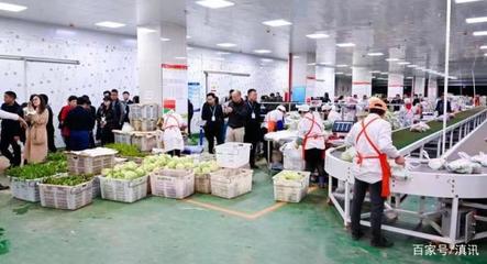 “云菜集采聯(lián)盟”啟動(dòng) 300余家生鮮配送公司助力云菜出滇