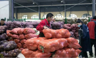 “全業態運營、一站式采購” 延安供銷農產品物流園蔬菜專業市場隆重開業