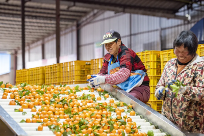 @這10類人,這些“新”舉措跟你有大關系!