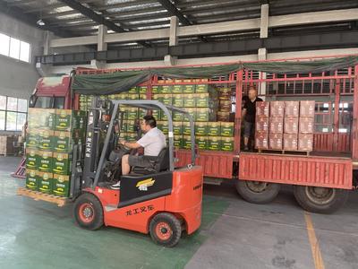 南京潤立農產品公司:全力保障農產品流通銷售