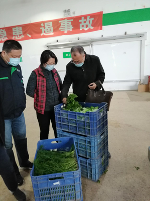 開展貯藏加工技術服務周 助力農產品流通復工復產