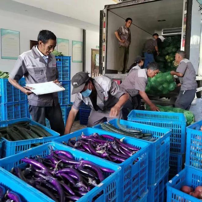 我市6家企業榮獲2022年中央服務業專項資金超千萬元支持，助力產品流通服務升級