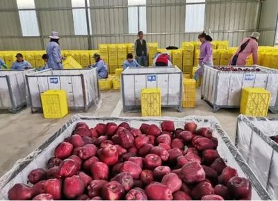 大數據背景下農產品冷鏈物流模式的缺點分析