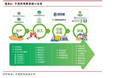 公告提示多重風(fēng)險(xiǎn)！供銷(xiāo)社概念龍頭八連板，產(chǎn)品流通服務(wù)引關(guān)注