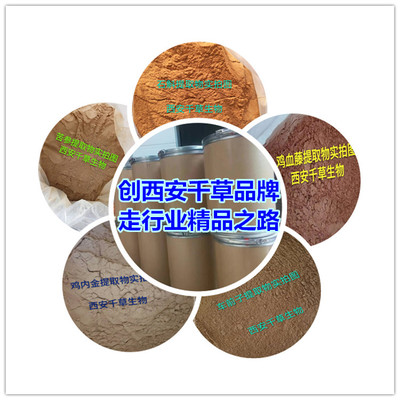 錦燈籠提取物、濃縮粉與浸膏粉的產(chǎn)供銷(xiāo)服務(wù)全解析