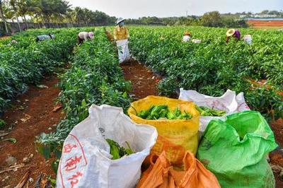 瓊山做好復工復產服務保障 為企業送上'及時雨'產品流通服務