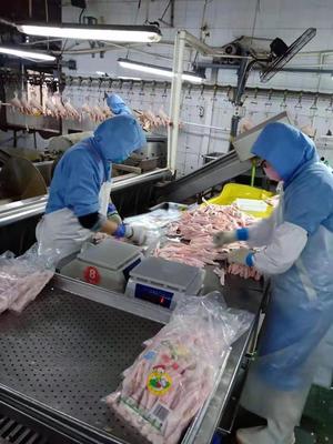 山東德州武城縣36家企業有序復工復產 產業鏈流通服務全面恢復